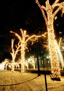 Tree Lighting Ceremony - WikiCU, the Columbia University wiki encyclopedia